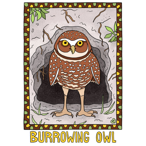 Burrowing Owl