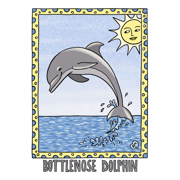 Bottlenose Dolphin