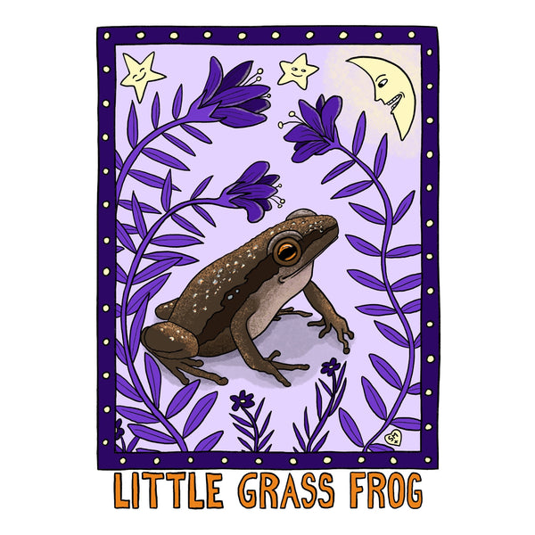 Little Grass Frog
