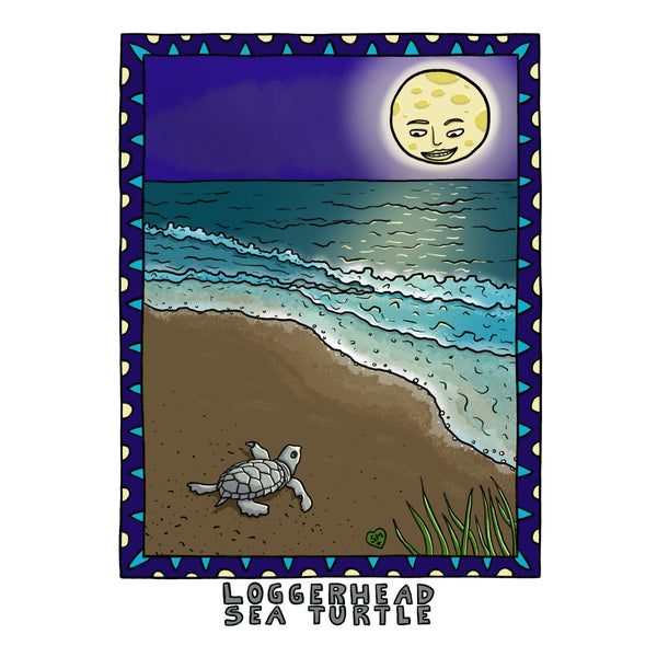 Loggerhead Sea Turtle