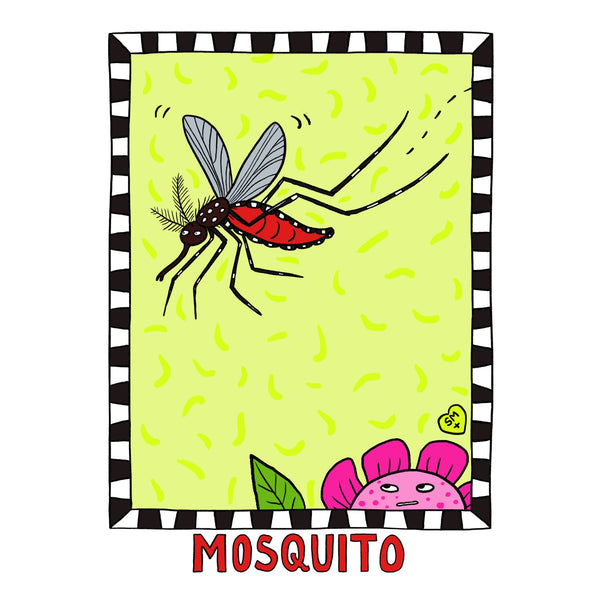 Mosquito