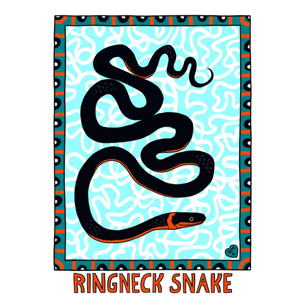 Ringneck Snake