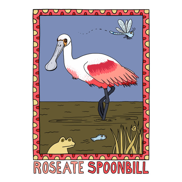 Roseate Spoonbill