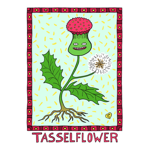 Tasselflower