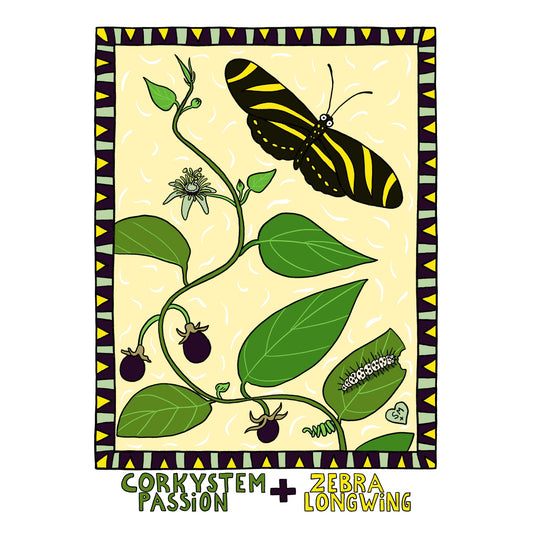 Corkystem Passion + Zebra Longwing
