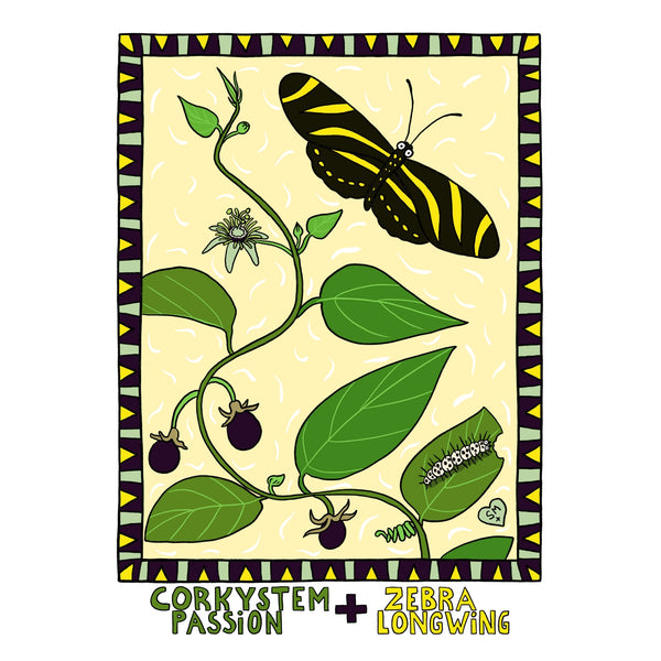 Corkystem Passion + Zebra Longwing
