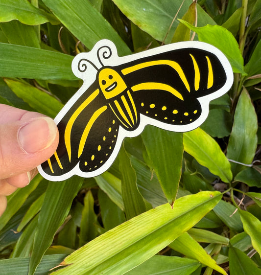 Zebra Longwing