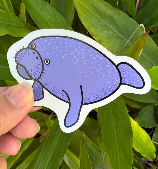Manatee