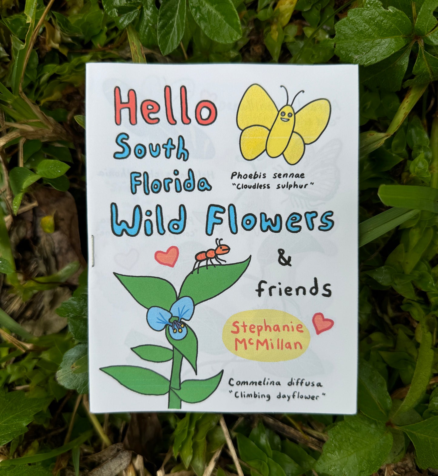Hello South Florida Wildflowers & Friends