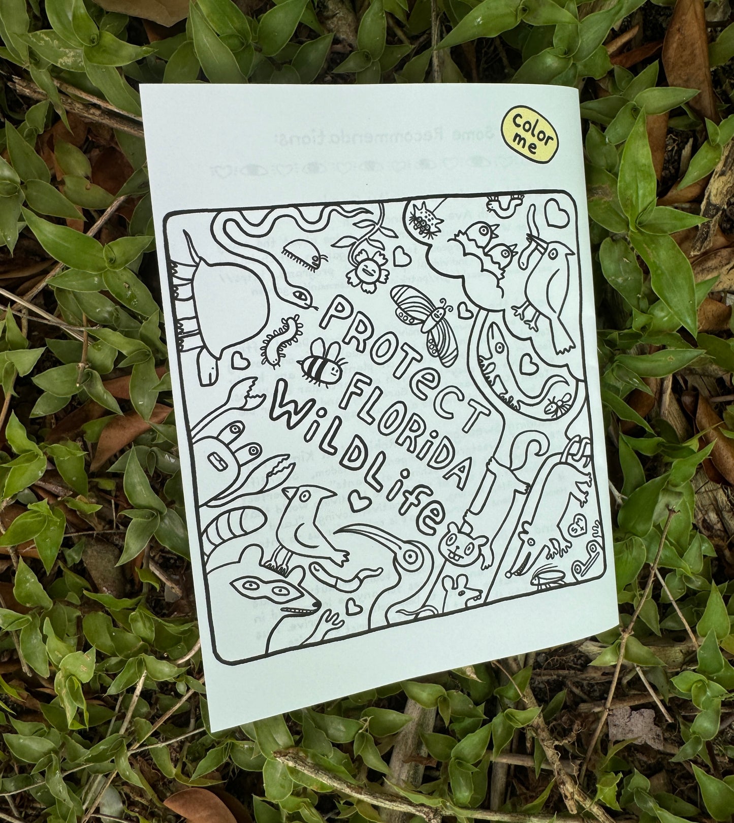 Grounding - by mail, annual subscription 15% off