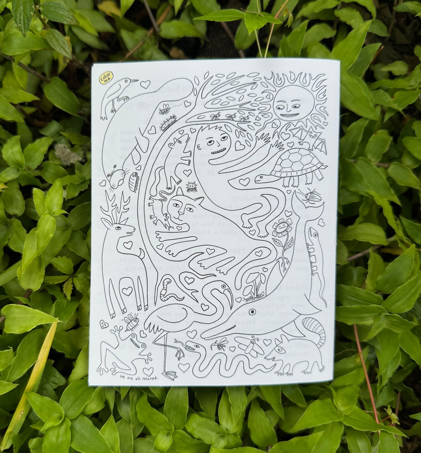 Grounding with Extra Art - by mail, monthly subscription