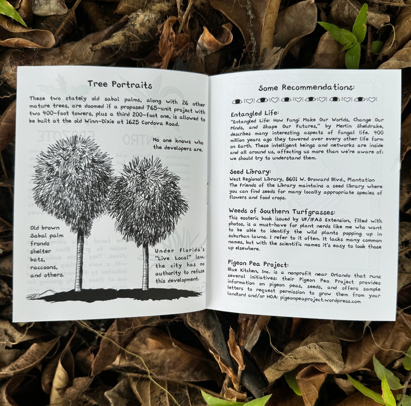 Grounding with Extra Art - by mail, annual subscription 15% off