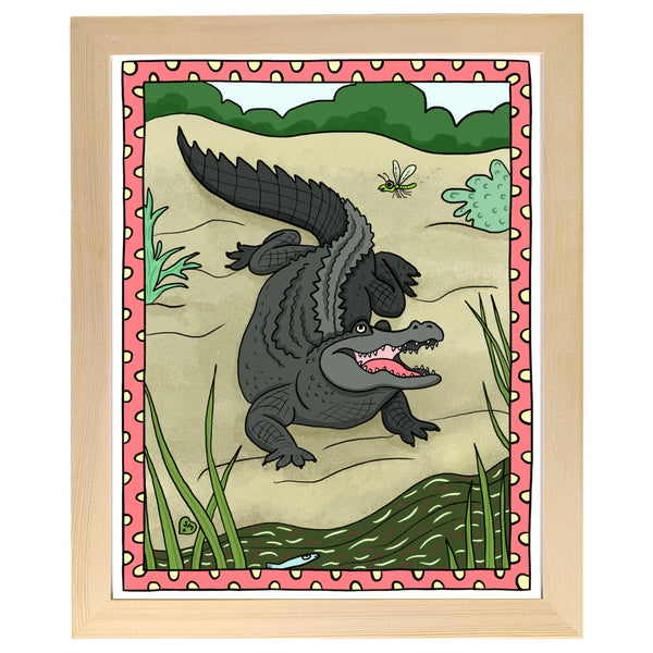 Alligator