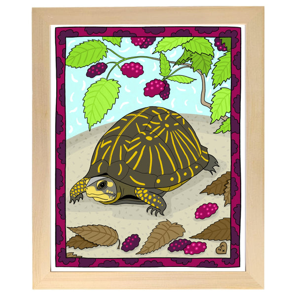 Florida Box Turtle