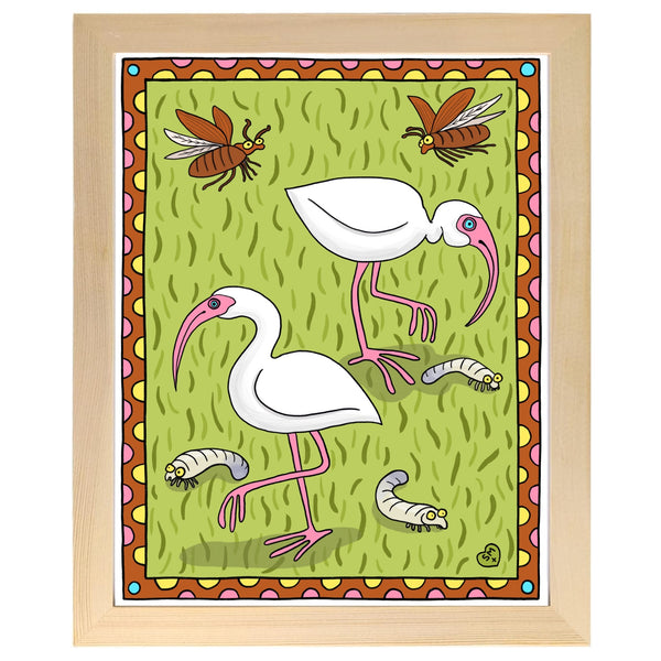 Ibis + Junebug