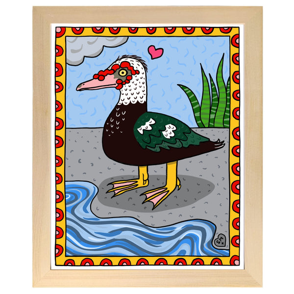 Muscovy Duck