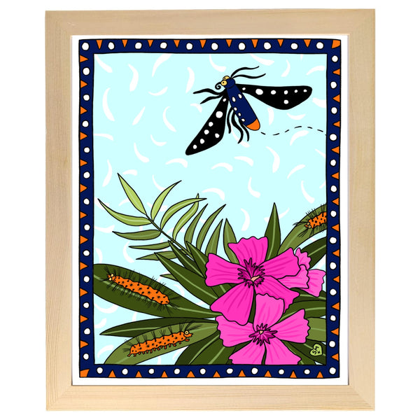Oleander Moth