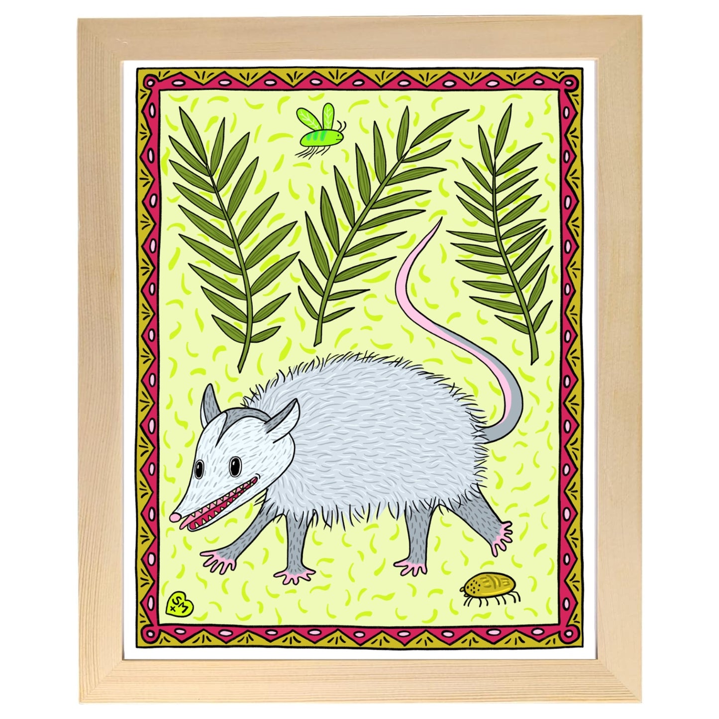 Virginia Opossum