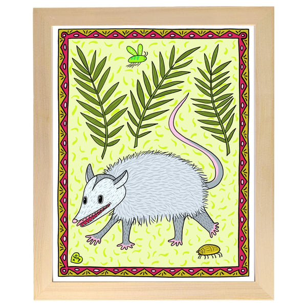 Virginia Opossum