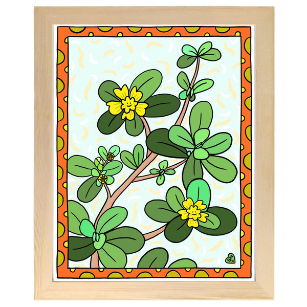 Purslane