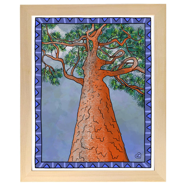 Slash Pine