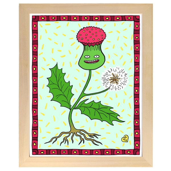 Tasselflower