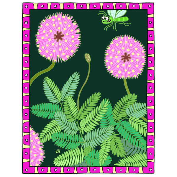 Sunshine Mimosa