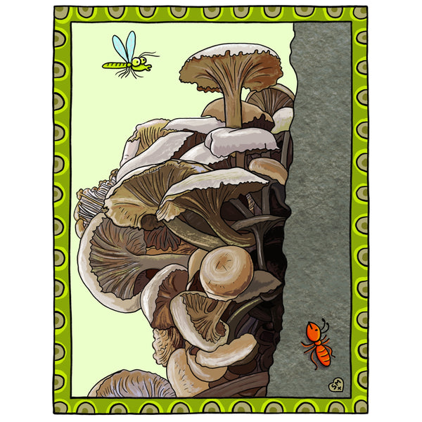 Honey Mushrooms