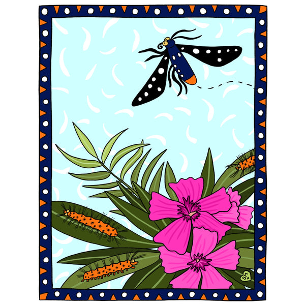 Oleander Moth