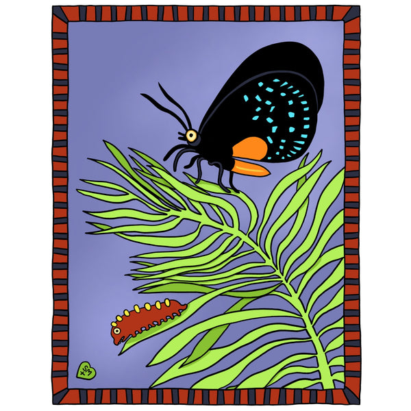 Atala + Coontie