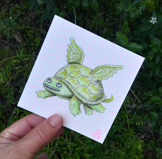 Flying Turtle