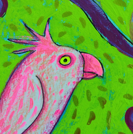 Cockatoo