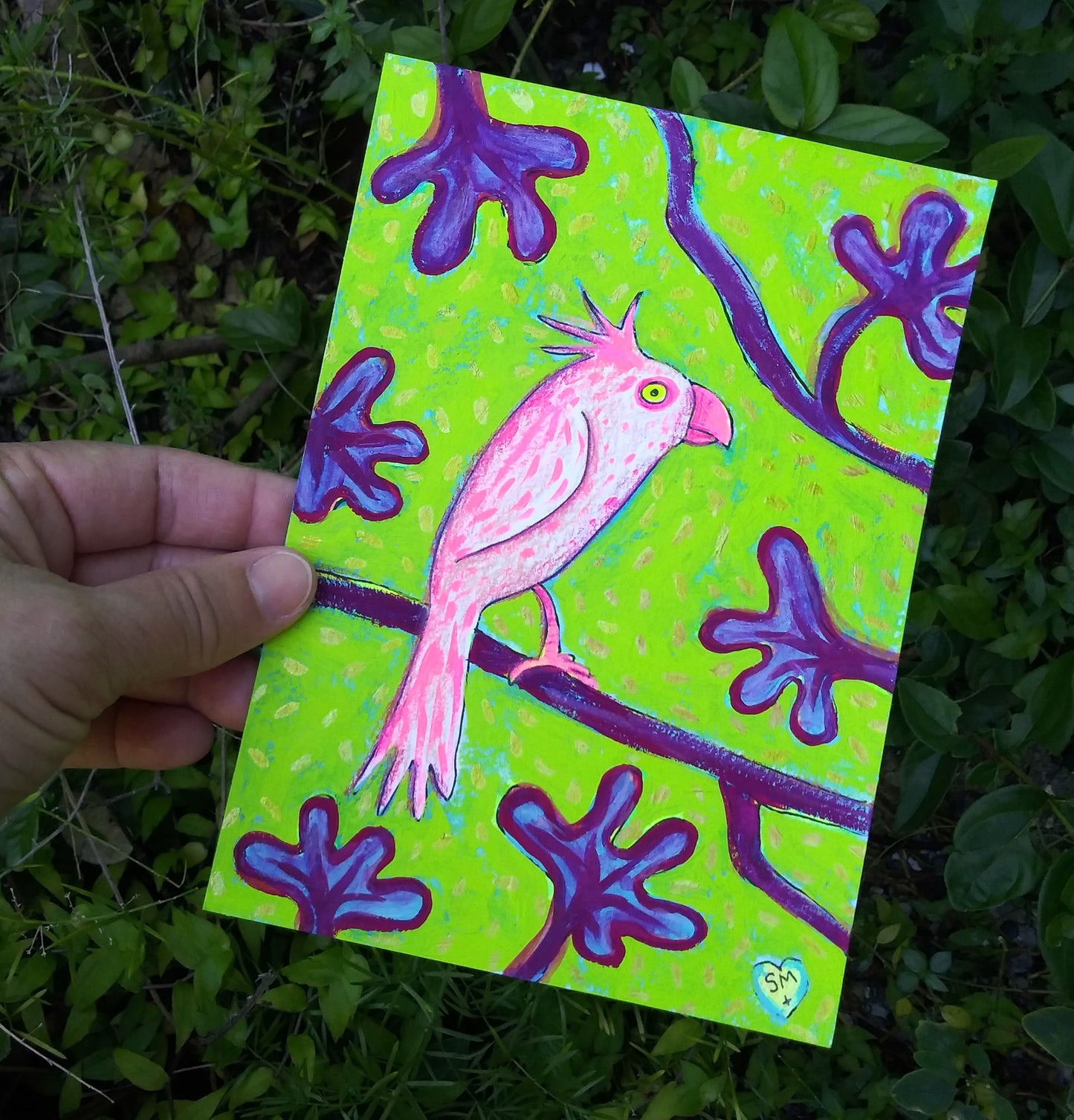 Cockatoo