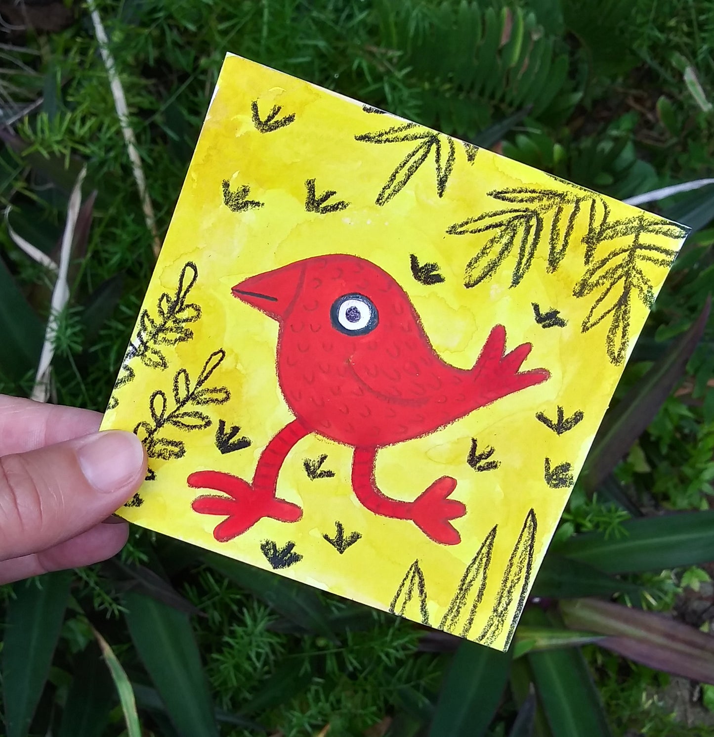 Red Bird