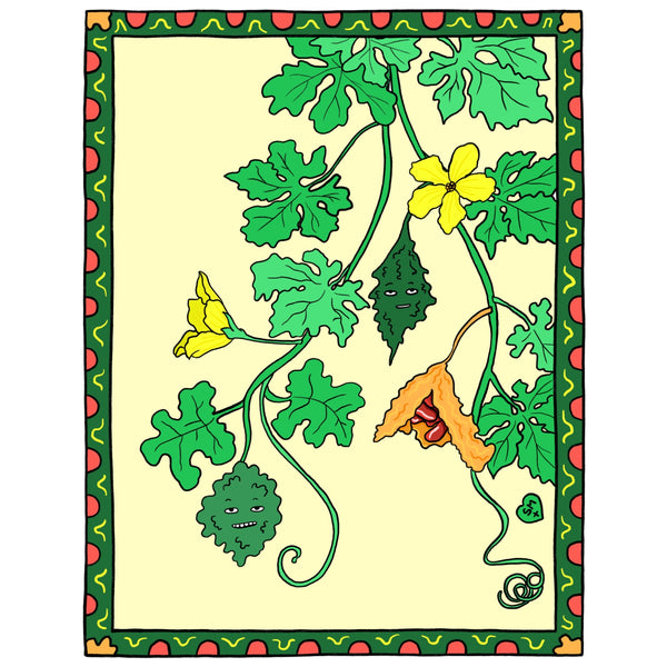Bitter Gourd