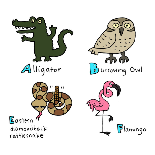 Florida Alphabet