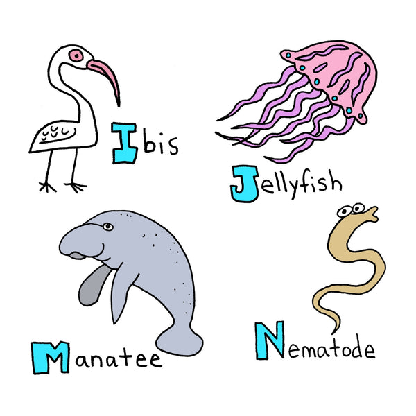 Florida Alphabet