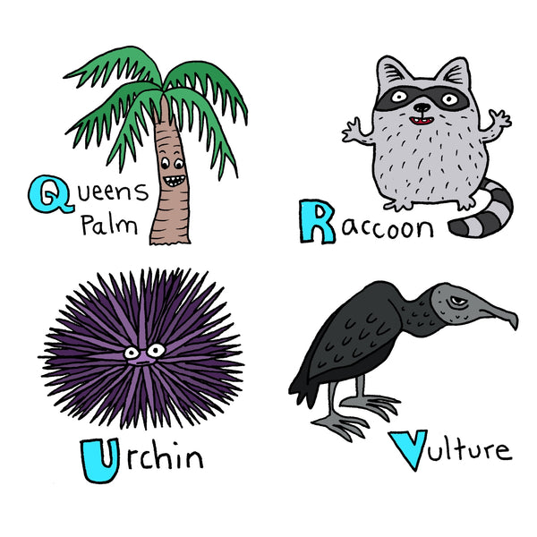 Florida Alphabet