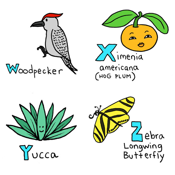 Florida Alphabet