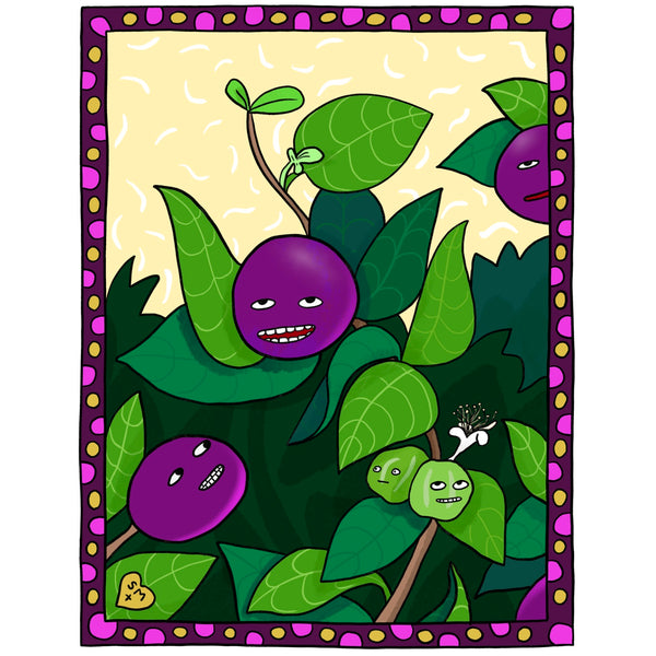 Cocoplum