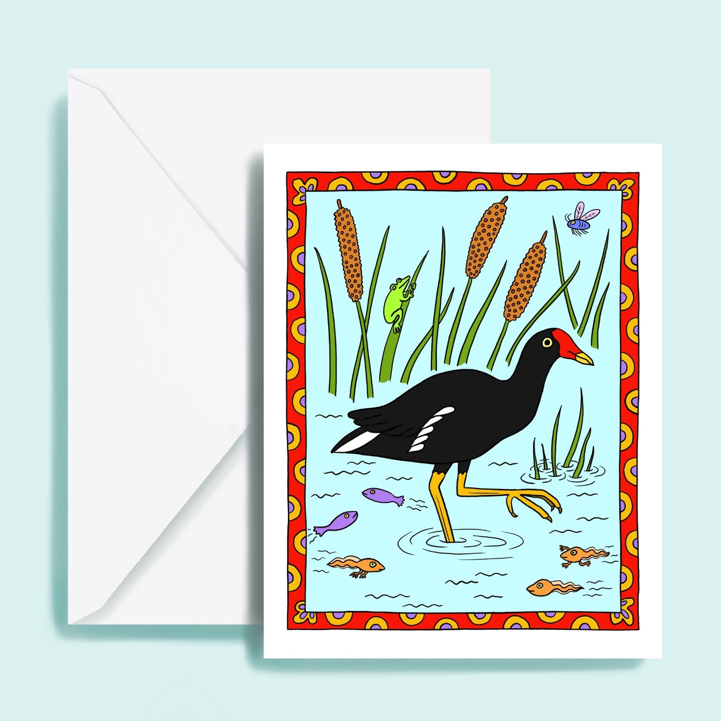 Common Gallinule