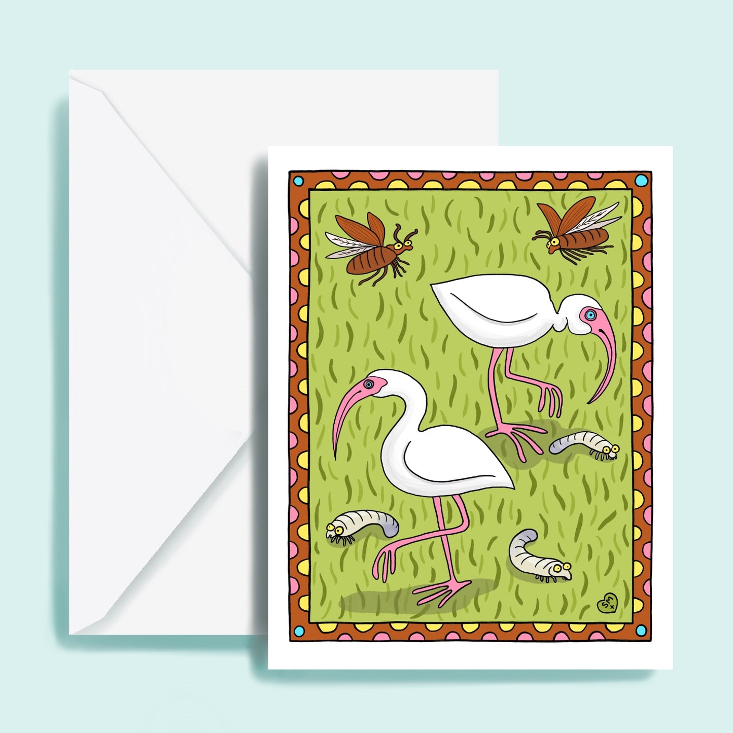 Ibis + Junebug