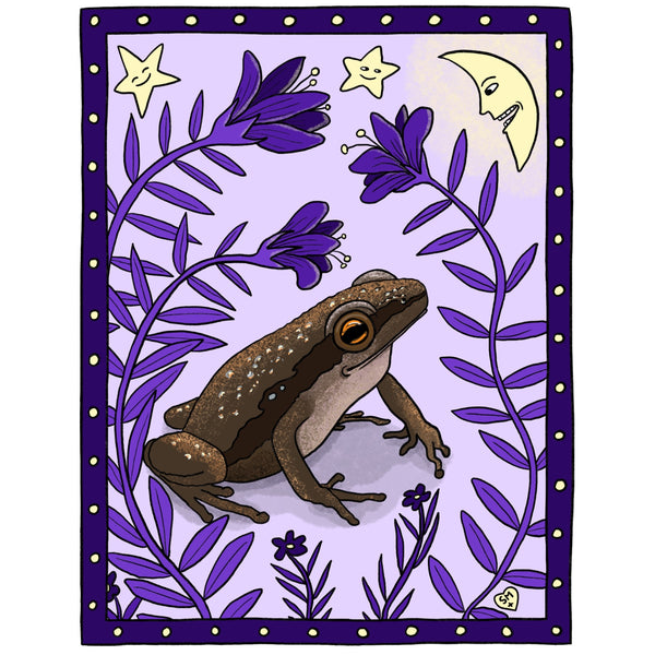 Little Grass Frog