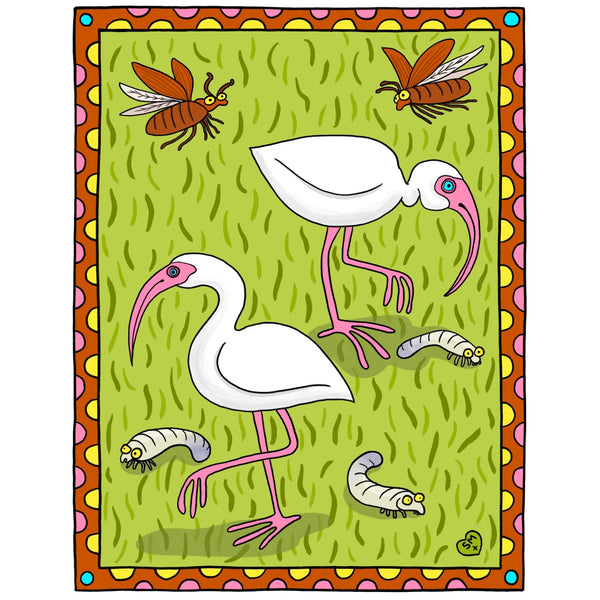Ibis + Junebug