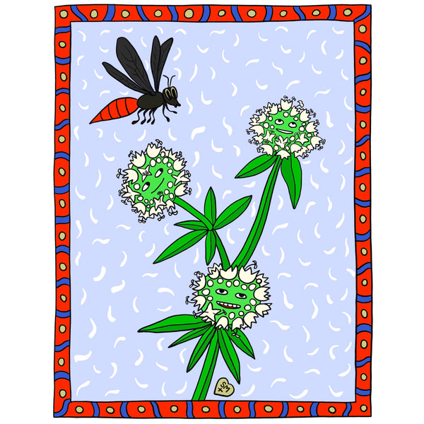 Southern Larraflower