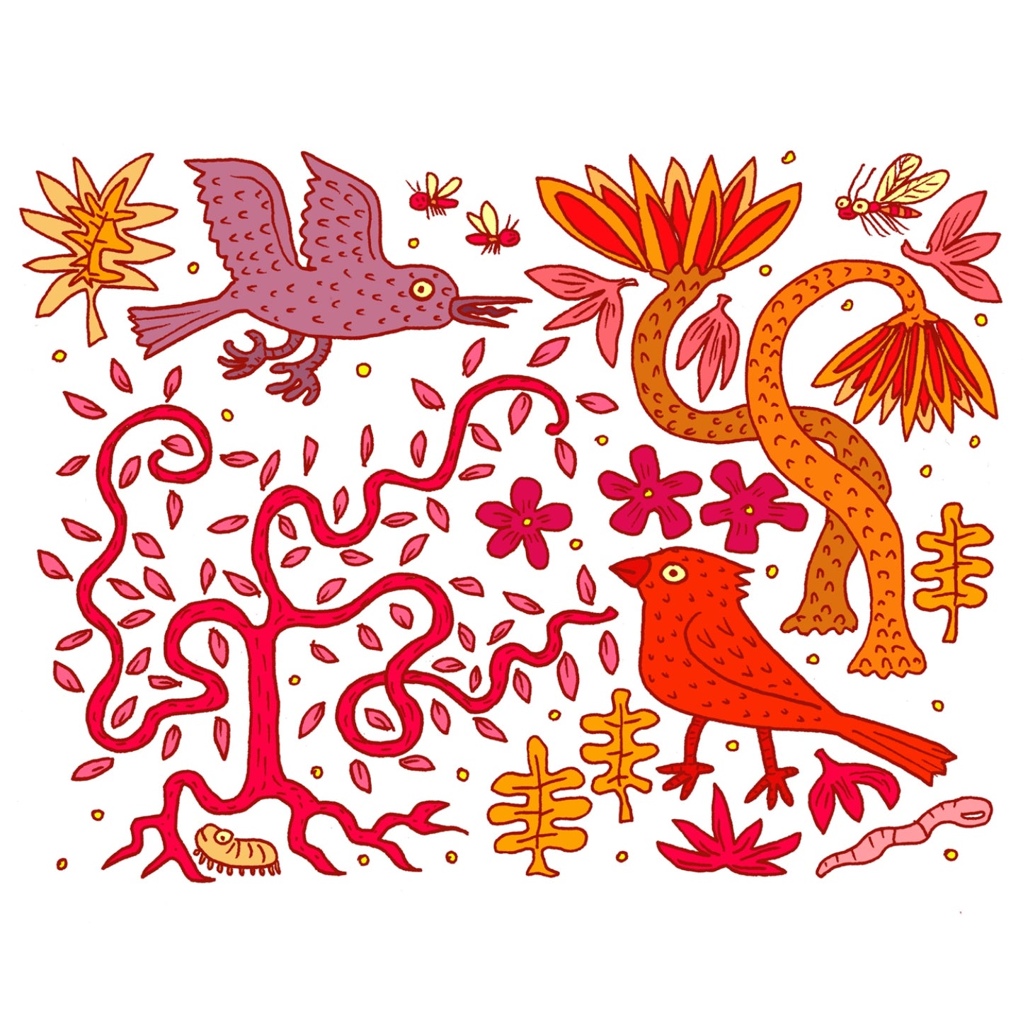 Mockingbird + Cardinal