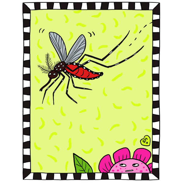 Mosquito