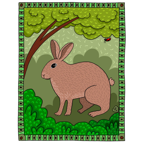 Marsh Rabbit