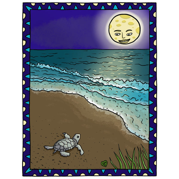 Loggerhead Sea Turtle