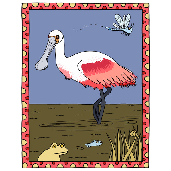 Roseate Spoonbill